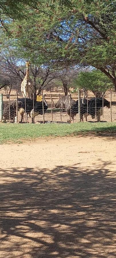 Hotel Ombo Rest Camp à Okahandja Extérieur photo